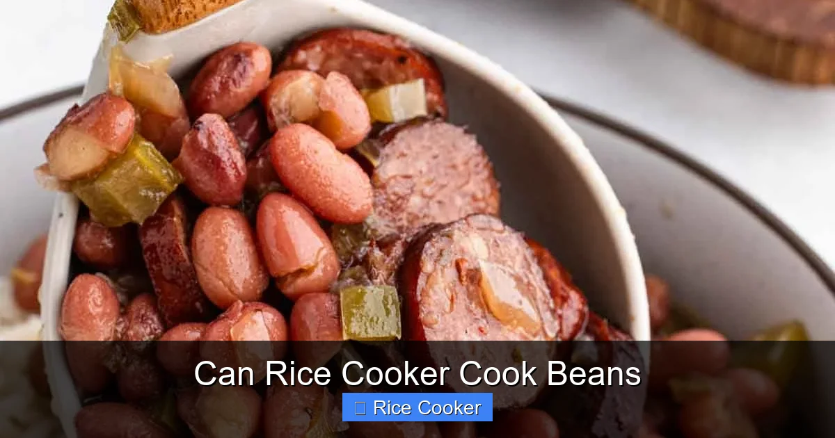 Can Rice Cooker Cook Beans - Kitchen Zoes