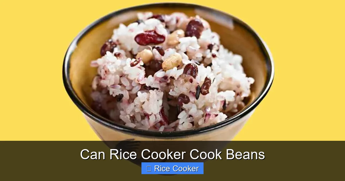 Can Rice Cooker Cook Beans - Kitchen Zoes