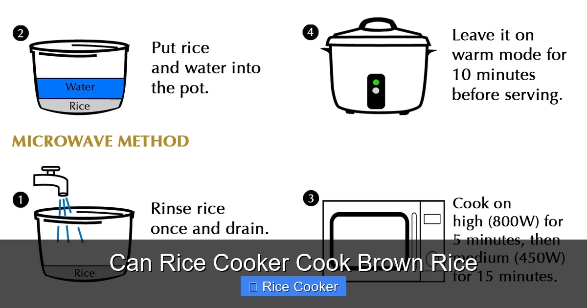 Can Rice Cooker Cook Brown Rice