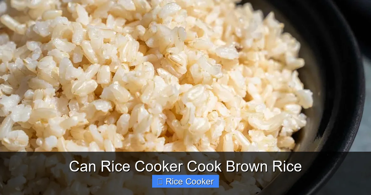 Can Rice Cooker Cook Brown Rice