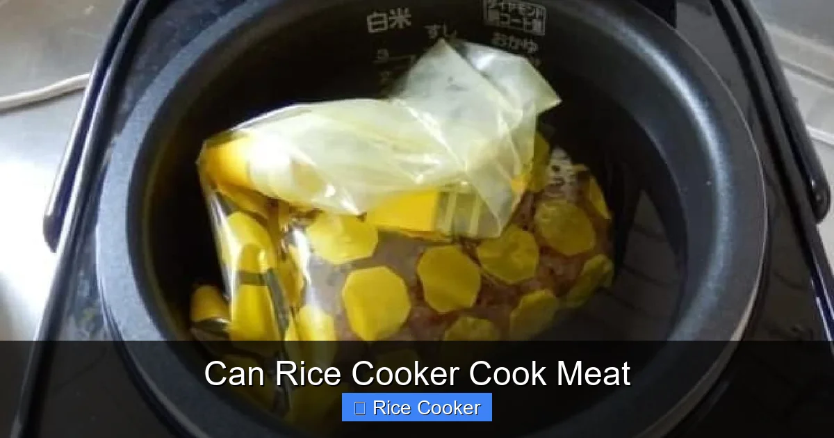 Can Rice Cooker Cook Meat