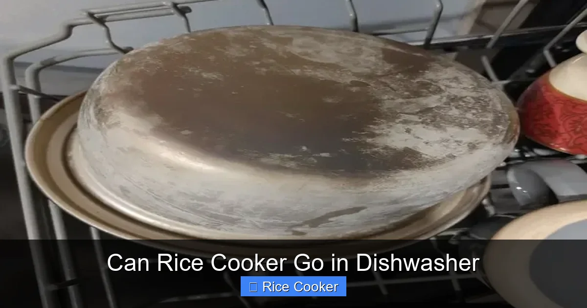 Can Rice Cooker Go in Dishwasher