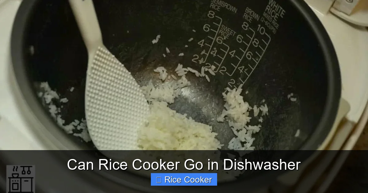 Can Rice Cooker Go in Dishwasher
