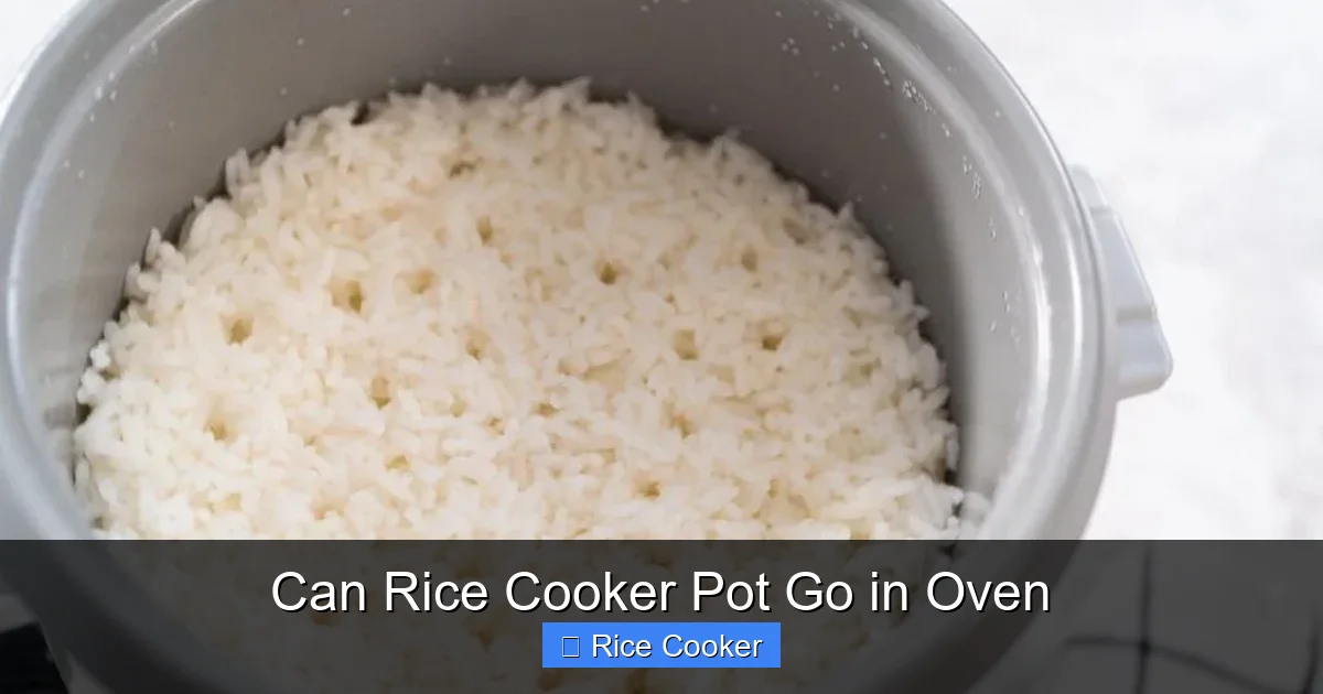 Can Rice Cooker Pot Go in Oven