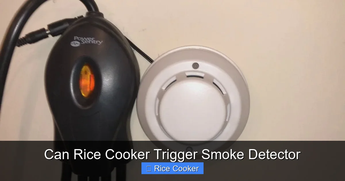 Can Rice Cooker Trigger Smoke Detector