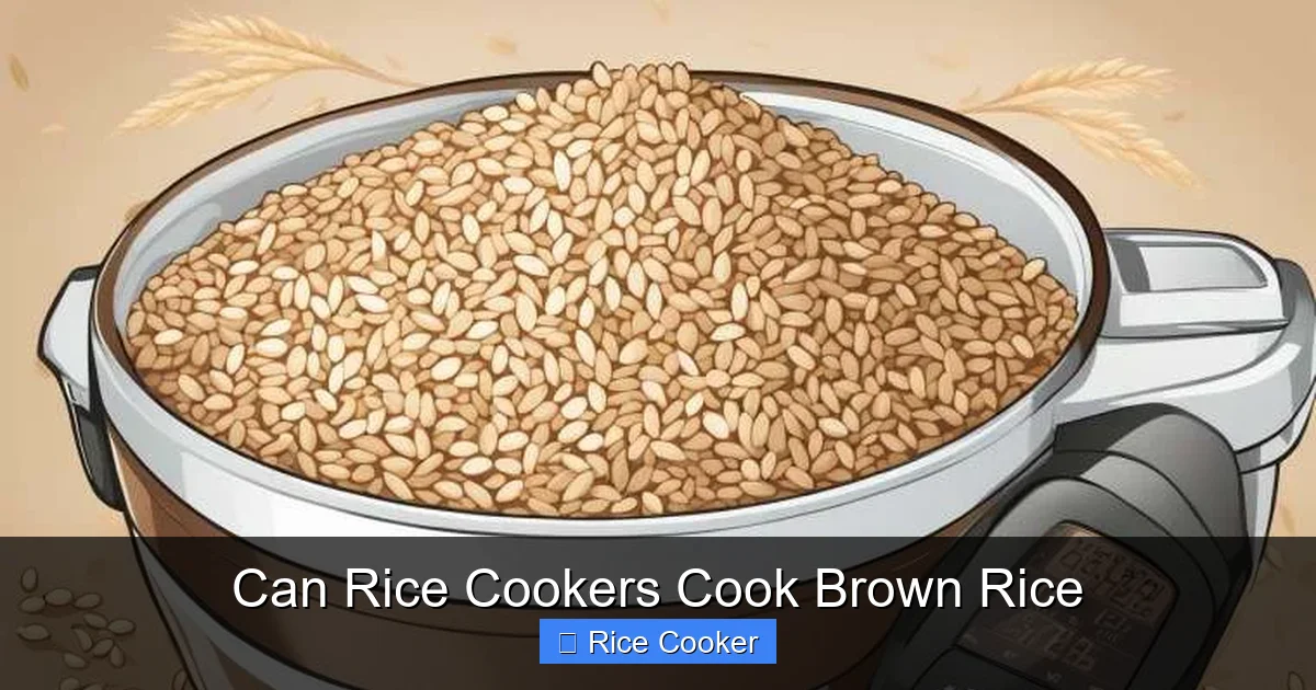 Can Rice Cookers Cook Brown Rice