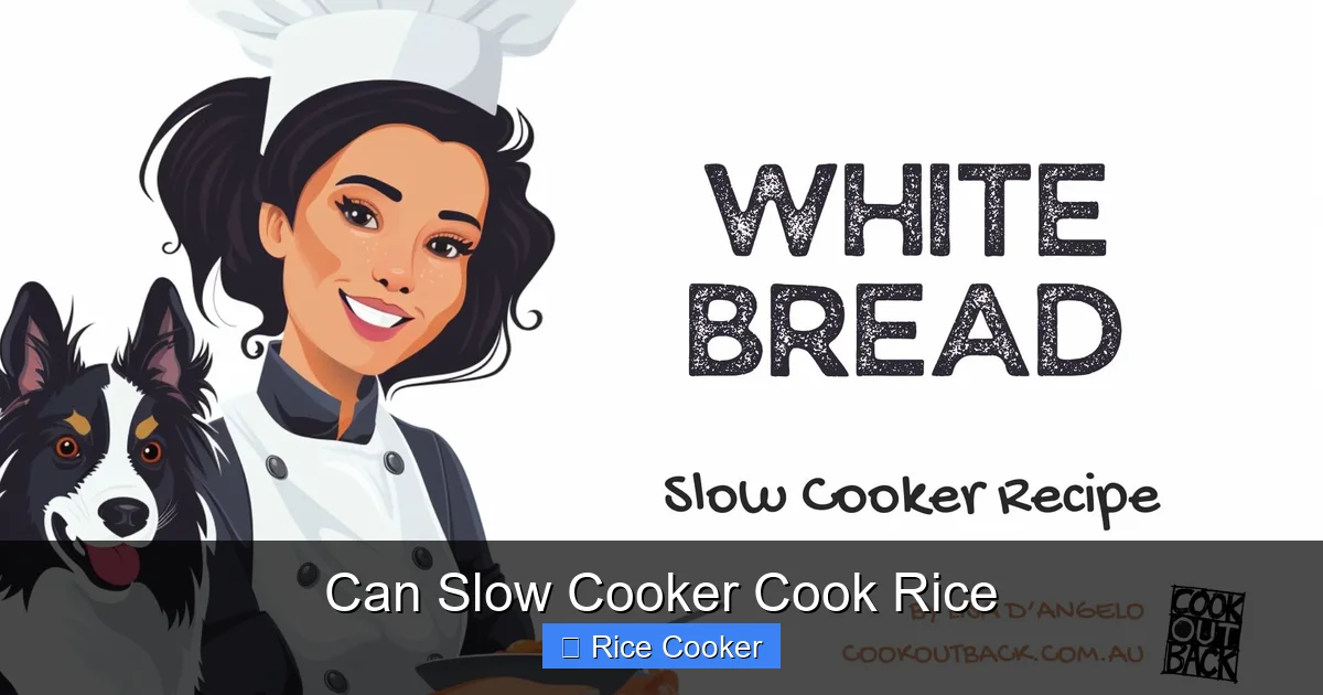 Can Slow Cooker Cook Rice