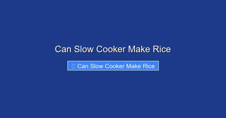 Can Slow Cooker Make Rice