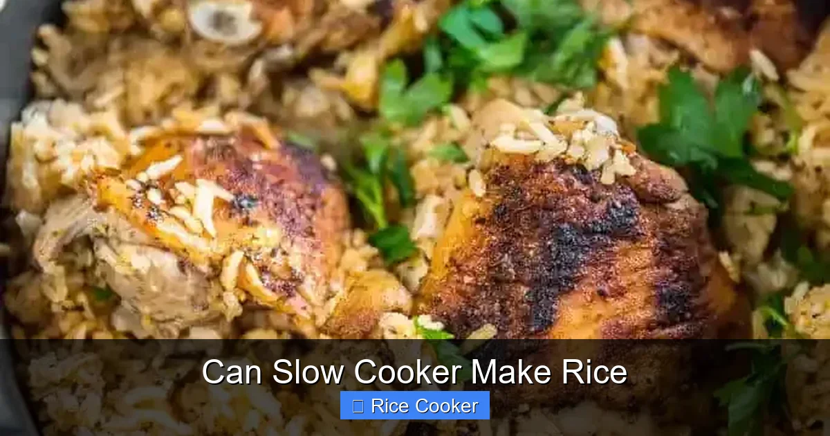 Can Slow Cooker Make Rice