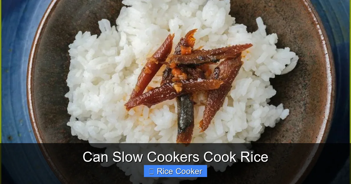 Can Slow Cookers Cook Rice
