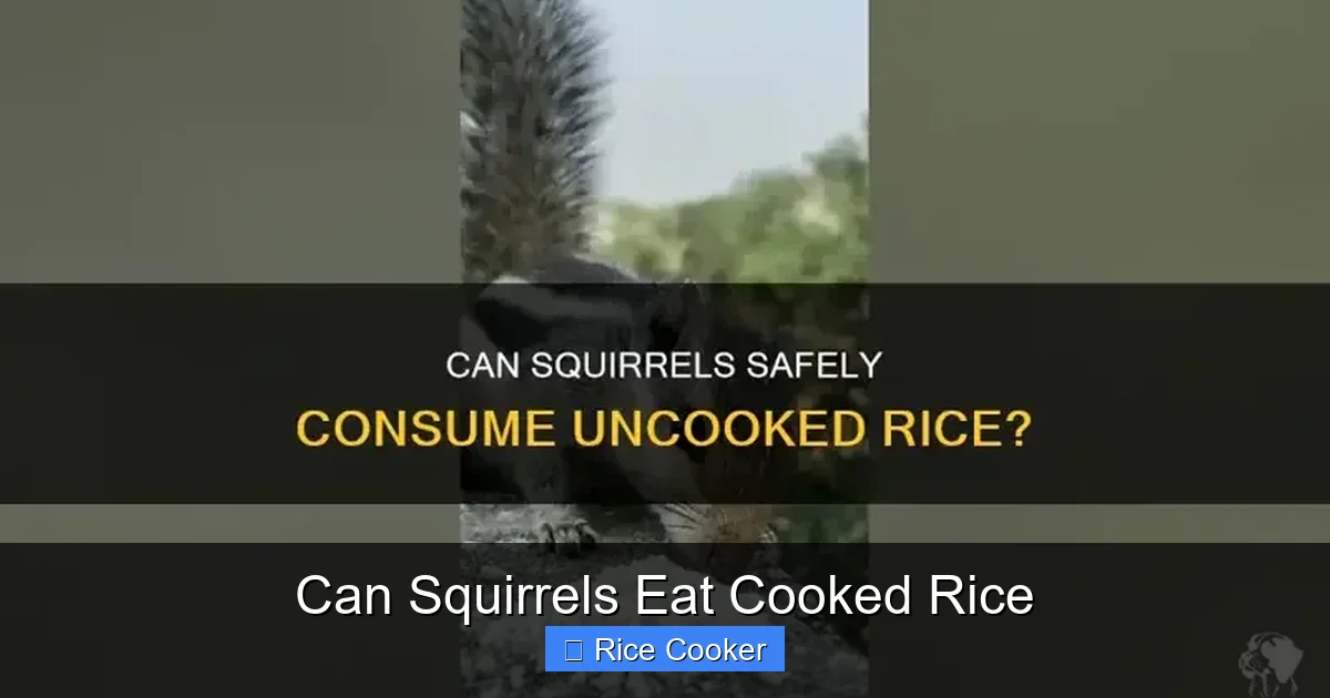 Can Squirrels Eat Cooked Rice