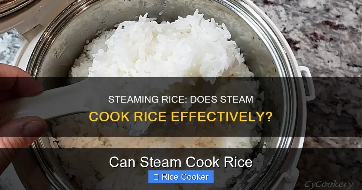 Can Steam Cook Rice