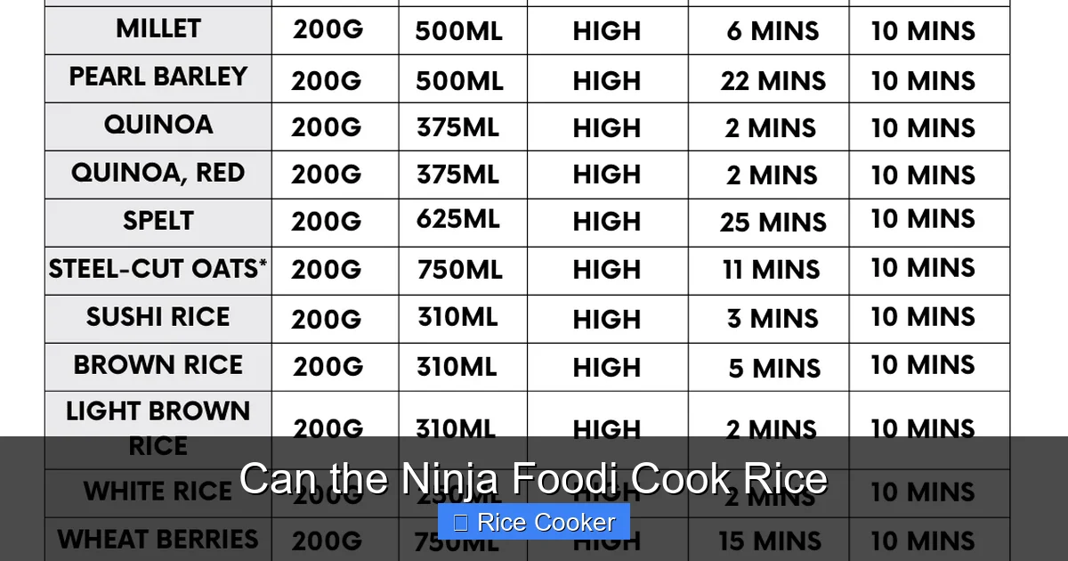 Can the Ninja Foodi Cook Rice