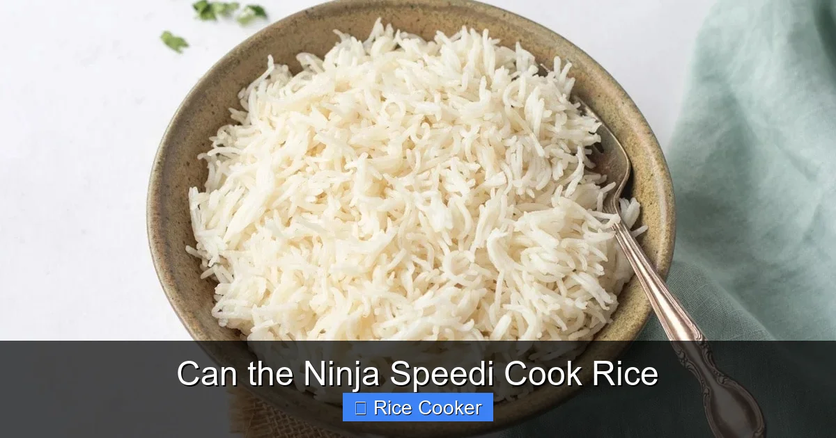 Can the Ninja Speedi Cook Rice
