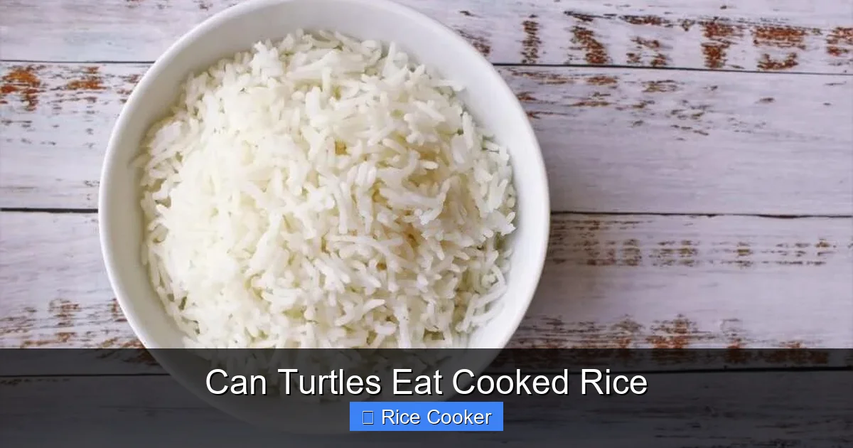 Can Turtles Eat Cooked Rice