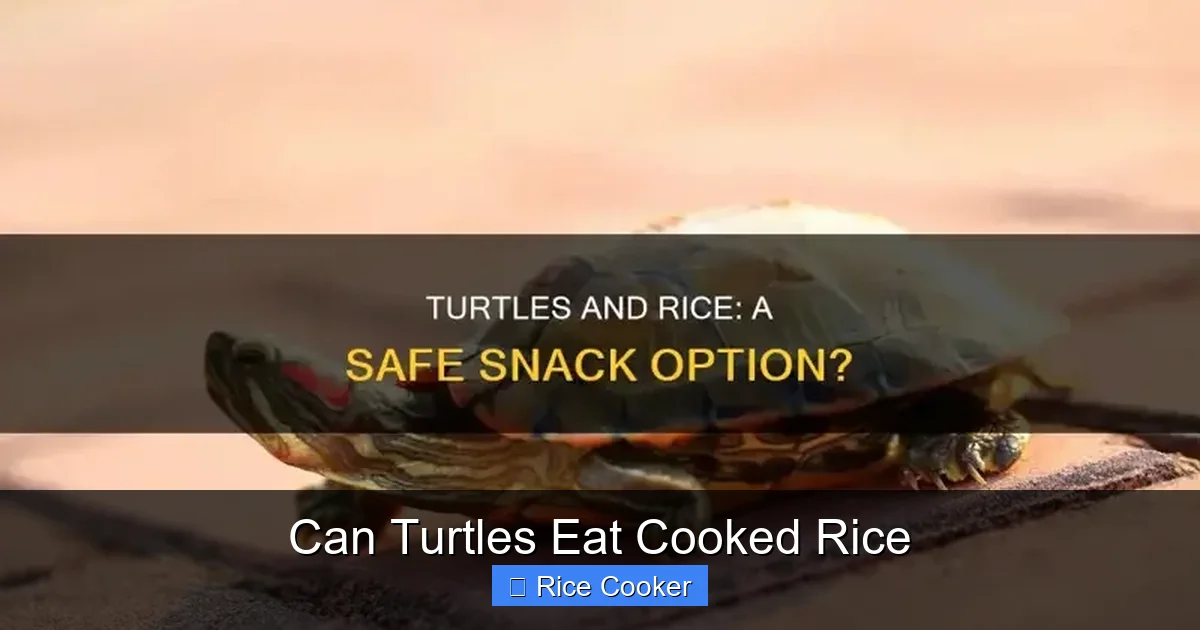 Can Turtles Eat Cooked Rice