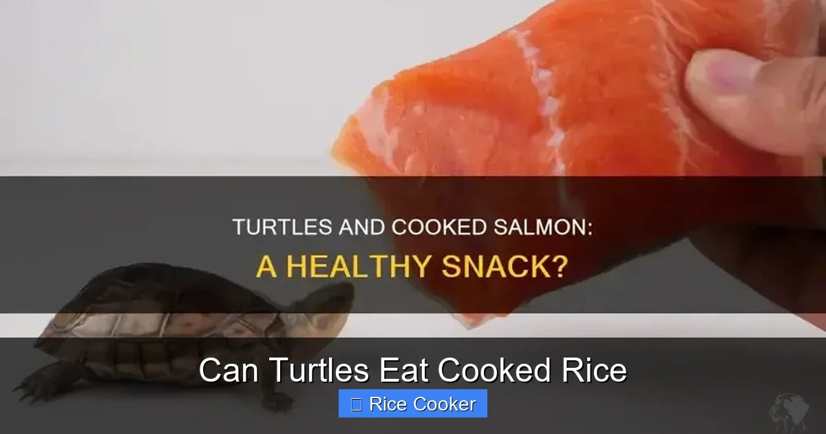 Can Turtles Eat Cooked Rice