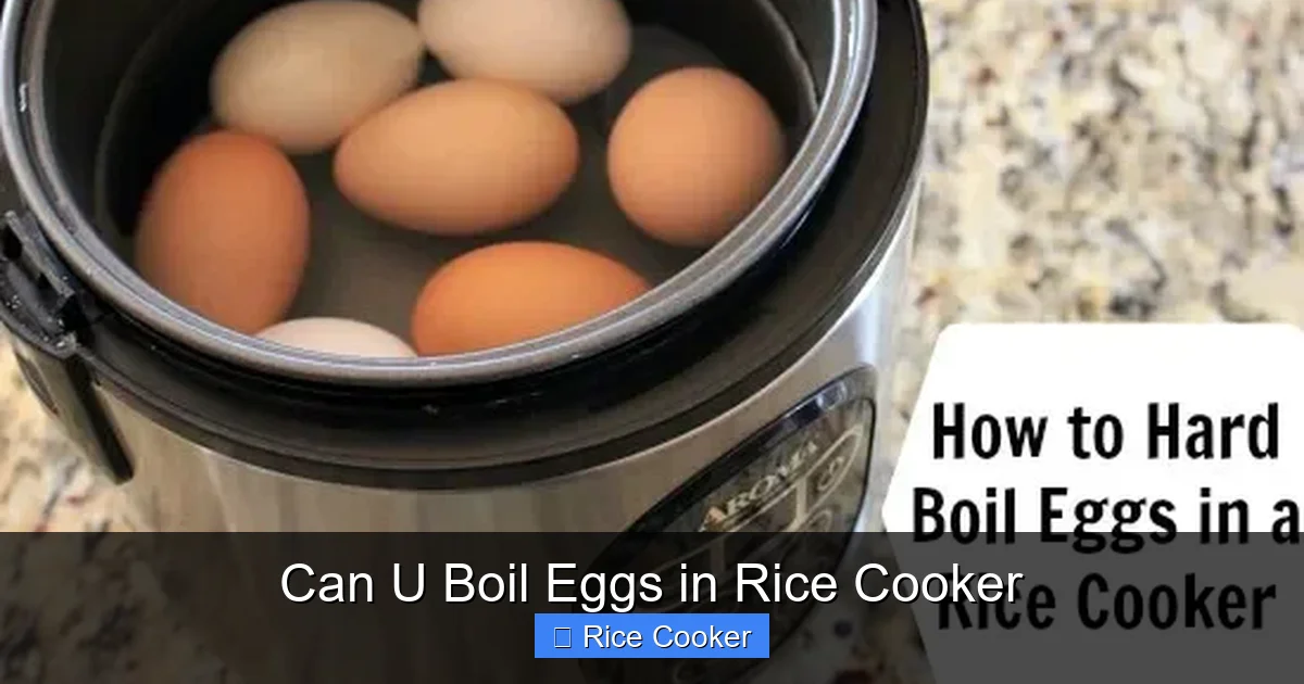 Can U Boil Eggs in Rice Cooker