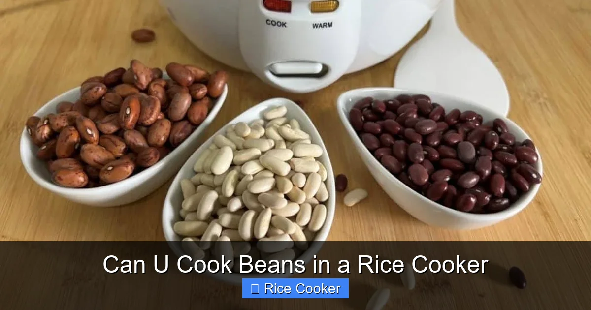 Can U Cook Beans in a Rice Cooker