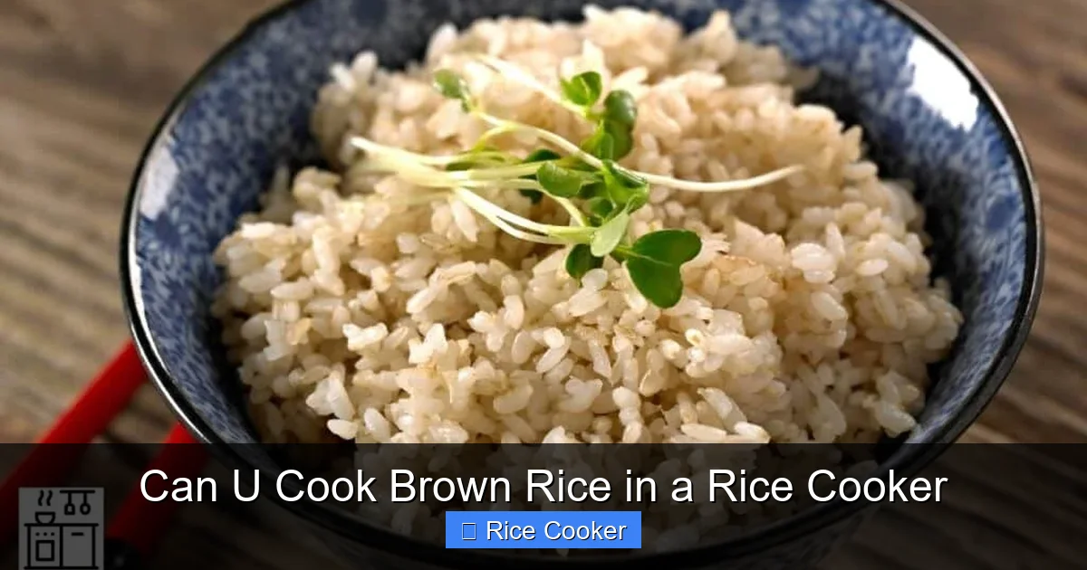 Can U Cook Brown Rice in a Rice Cooker