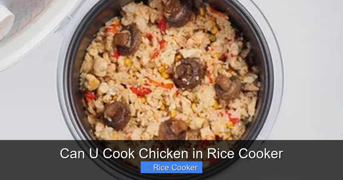 Can U Cook Chicken in Rice Cooker