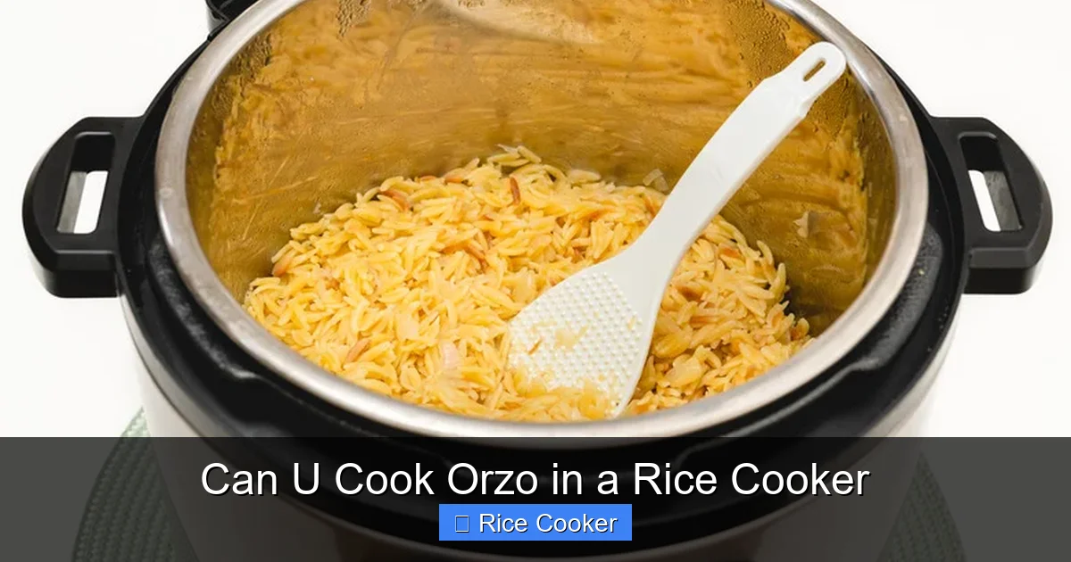 Can U Cook Orzo in a Rice Cooker