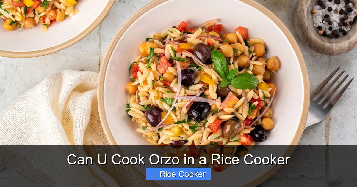 Can U Cook Orzo in a Rice Cooker