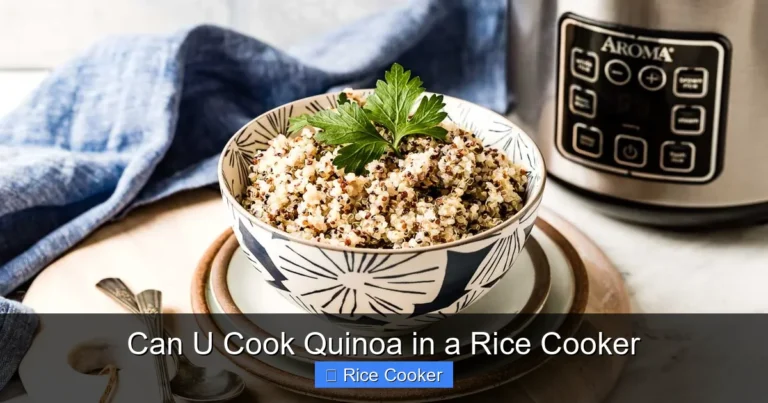 Can U Cook Quinoa in a Rice Cooker