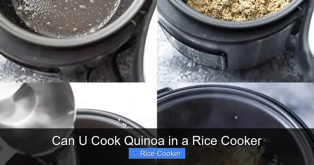 Can U Cook Quinoa in a Rice Cooker