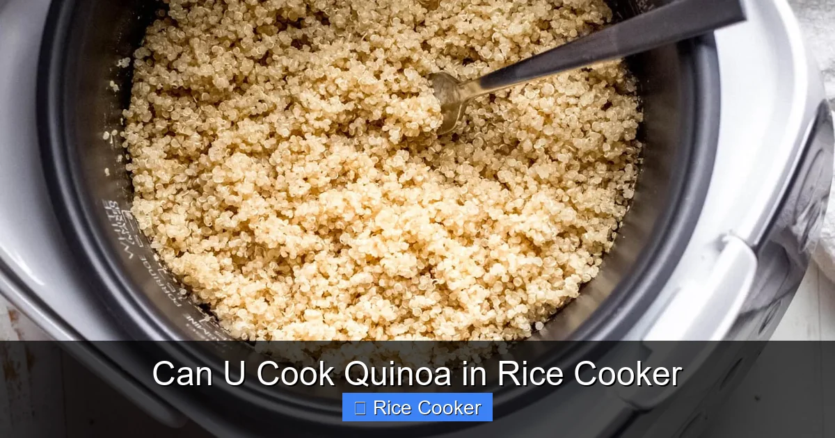 Can U Cook Quinoa in Rice Cooker