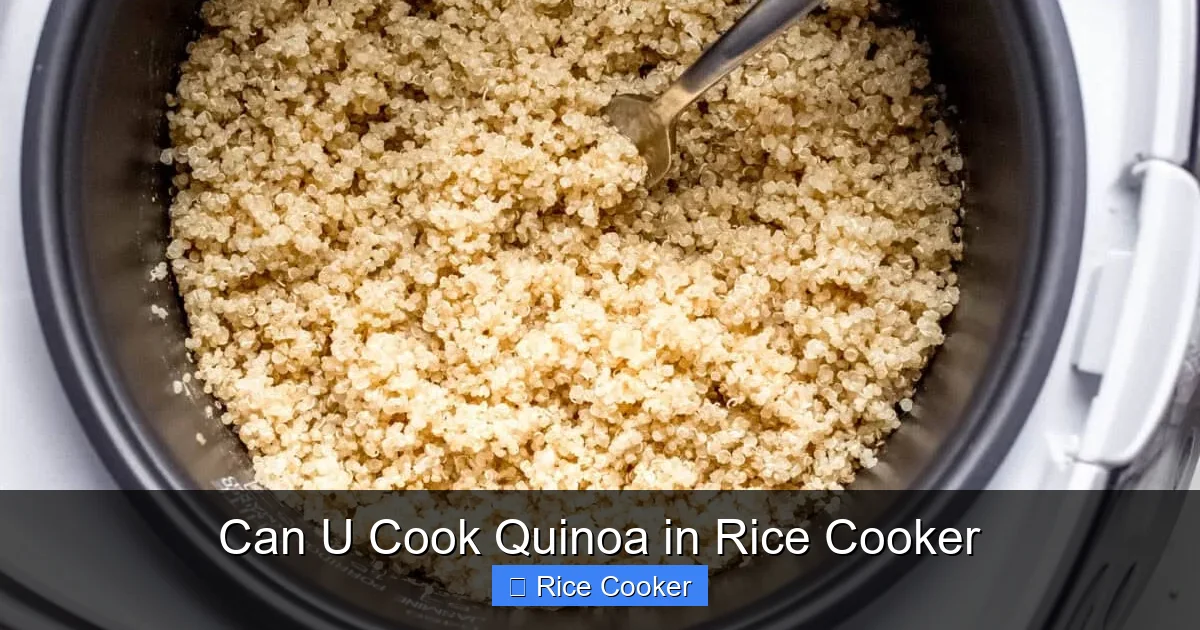 Can U Cook Quinoa in Rice Cooker