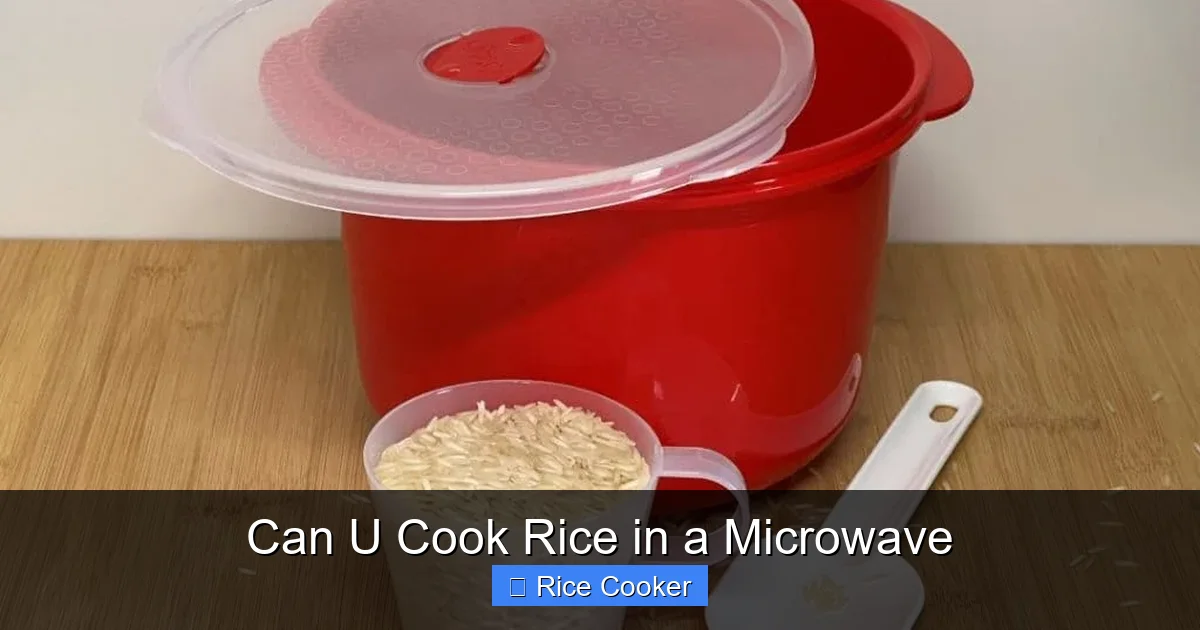 Can U Cook Rice in a Microwave
