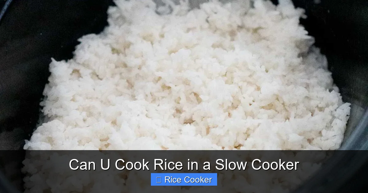 Can U Cook Rice in a Slow Cooker