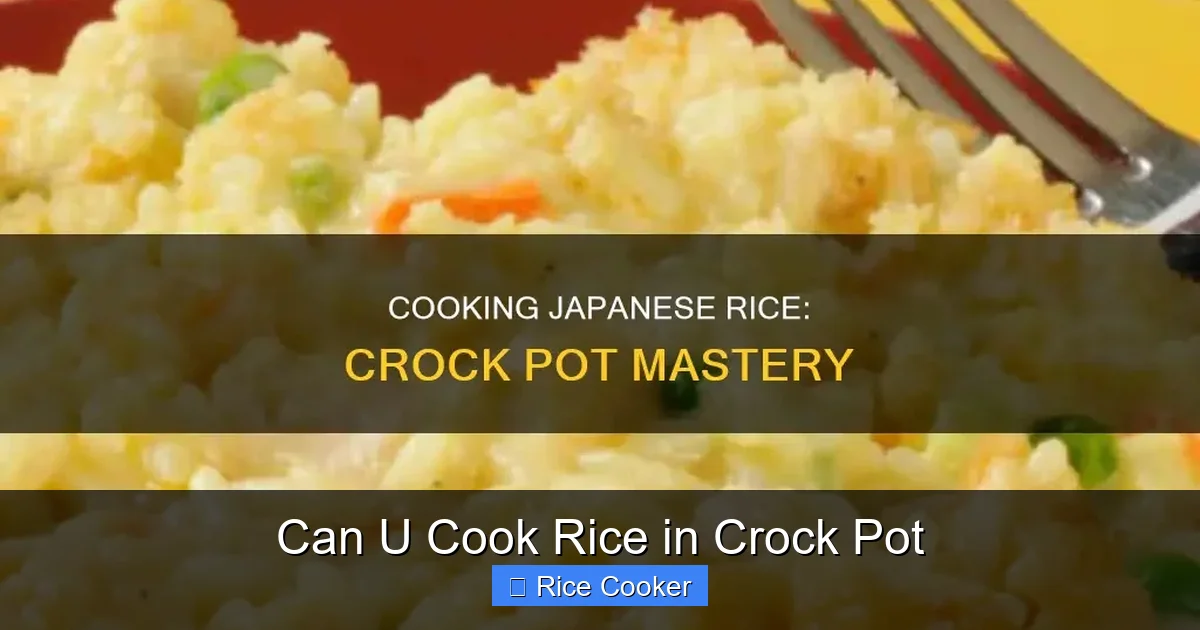 Can U Cook Rice in Crock Pot
