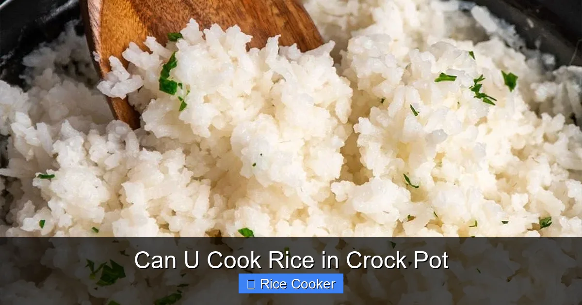 Can U Cook Rice in Crock Pot