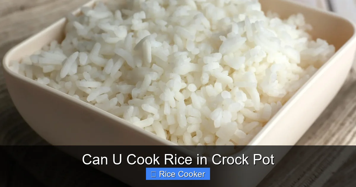 Can U Cook Rice in Crock Pot