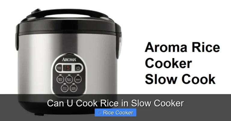 Can U Cook Rice in Slow Cooker