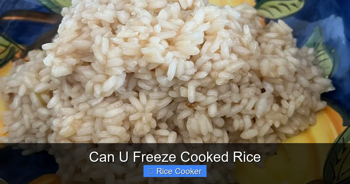 Can U Freeze Cooked Rice