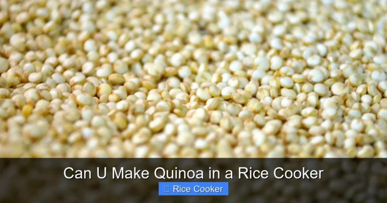 Can U Make Quinoa in a Rice Cooker