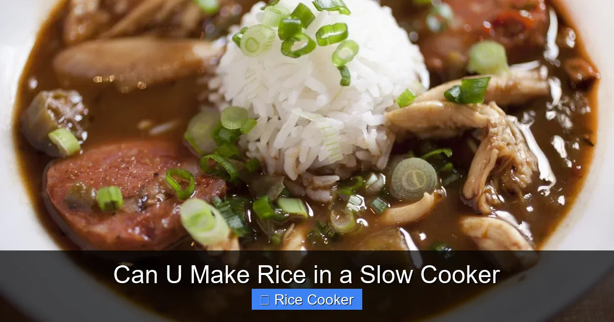 Can U Make Rice in a Slow Cooker