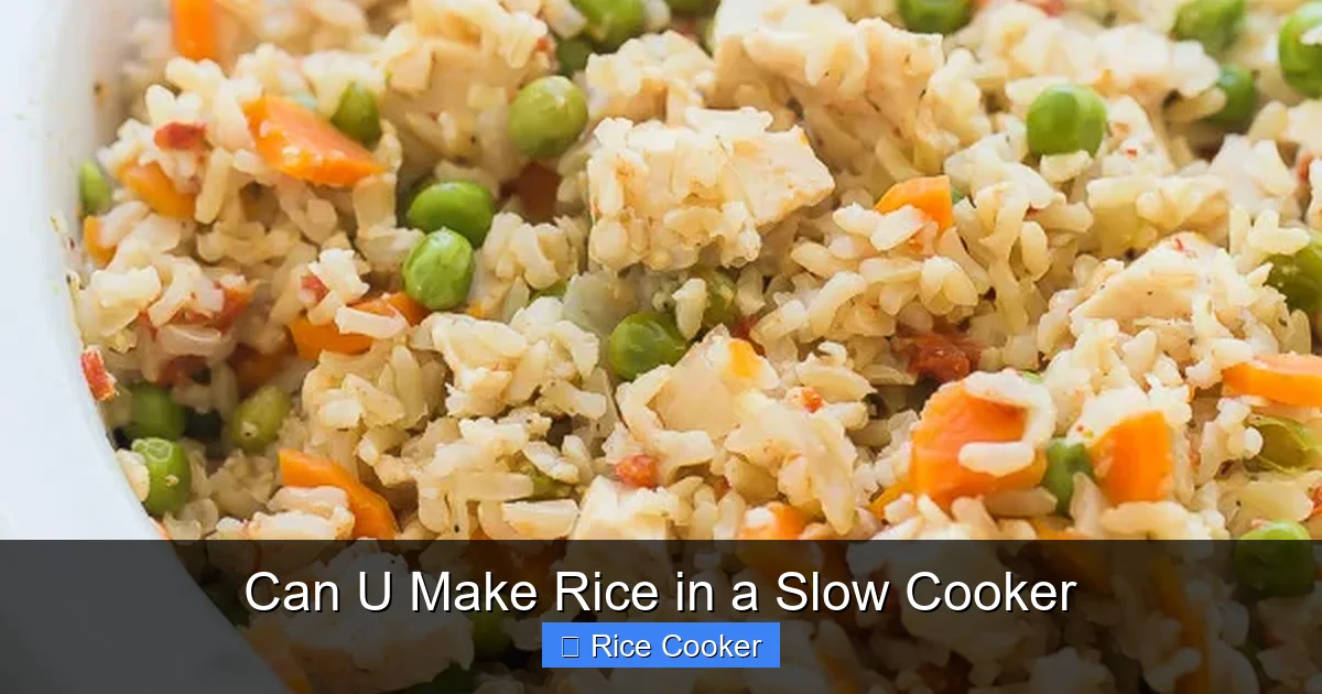 Can U Make Rice in a Slow Cooker