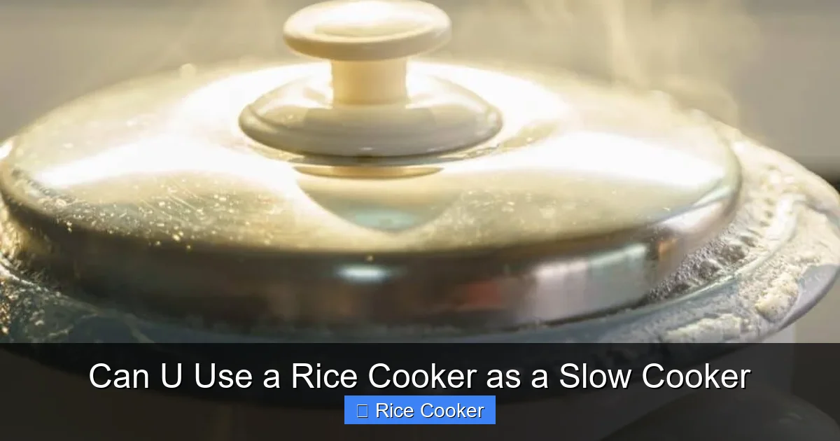 Can U Use a Rice Cooker as a Slow Cooker