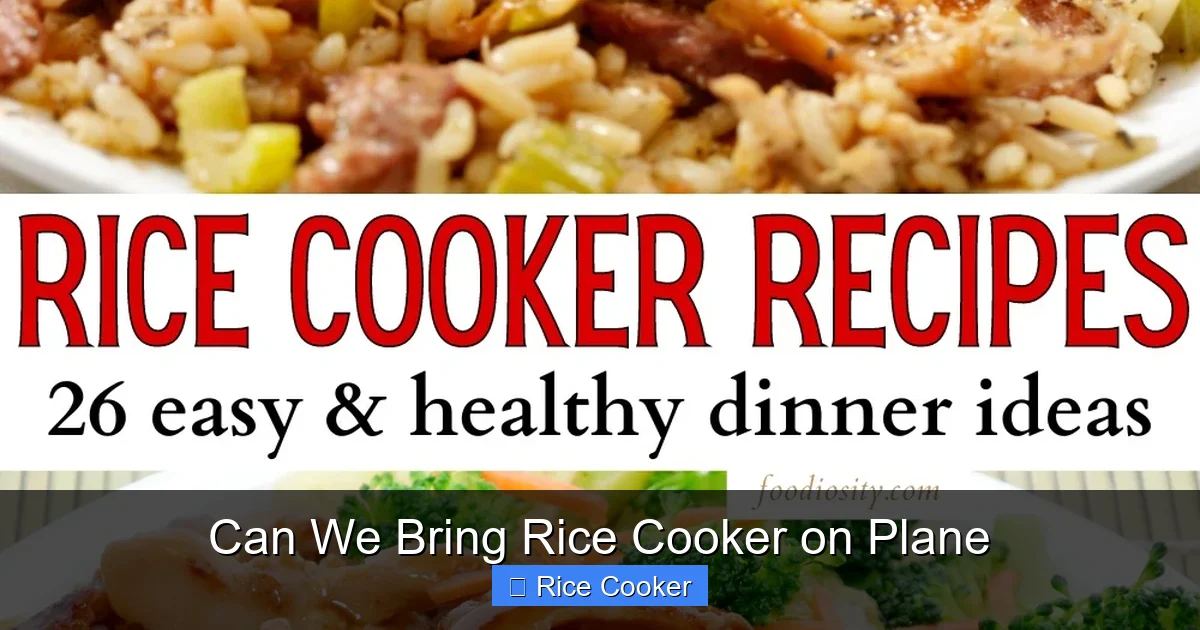 Can We Bring Rice Cooker on Plane