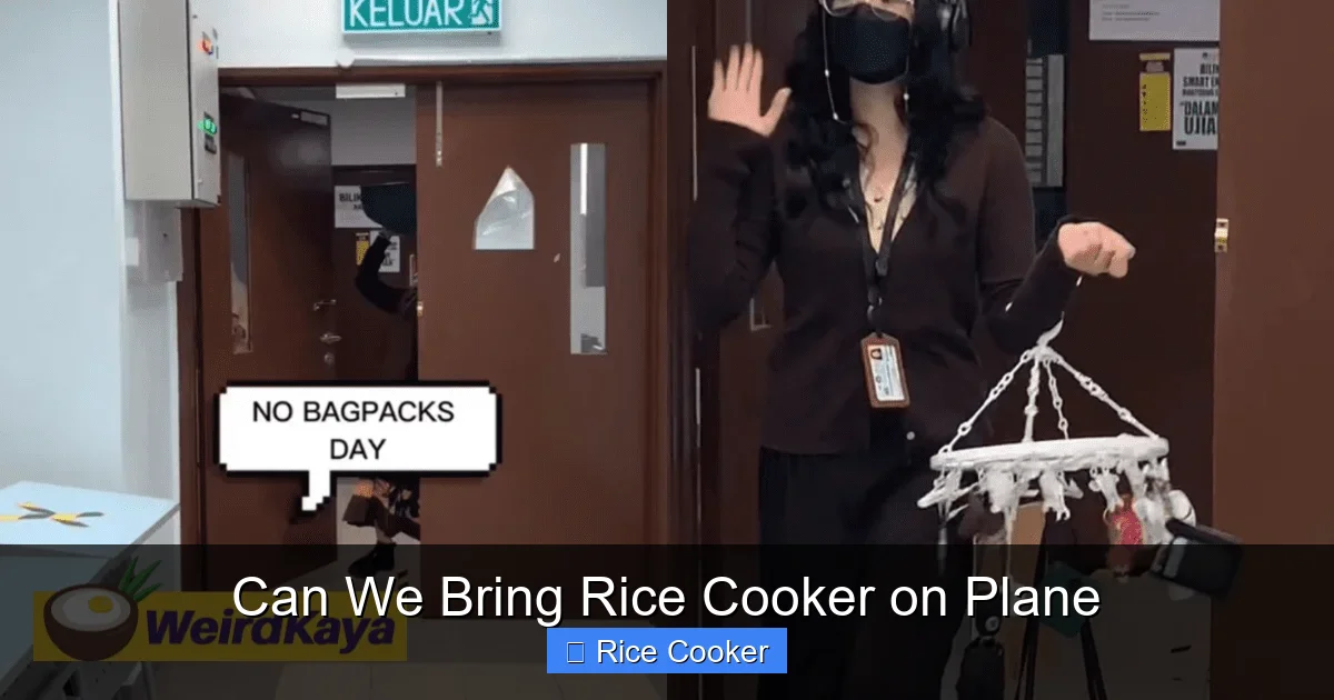 Can We Bring Rice Cooker on Plane