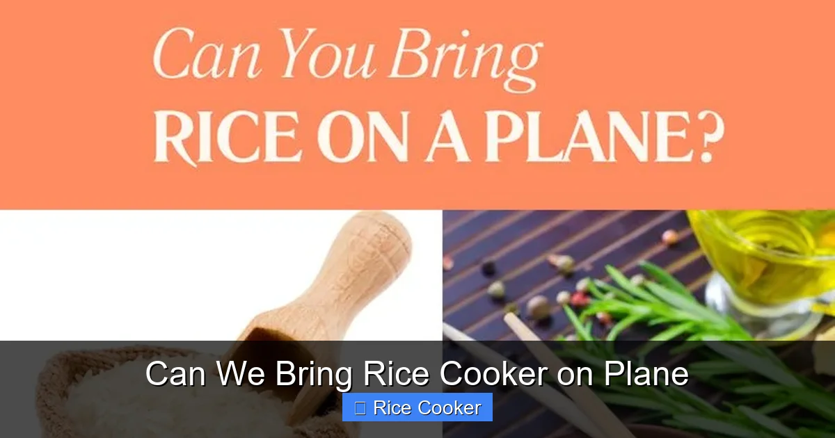 Can We Bring Rice Cooker on Plane