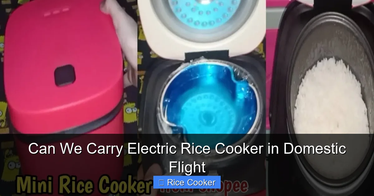 Can We Carry Electric Rice Cooker in Domestic Flight