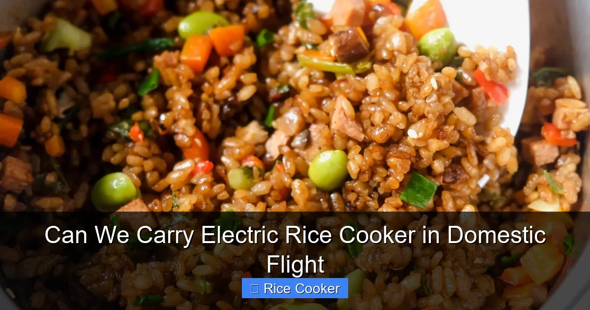 Can We Carry Electric Rice Cooker in Domestic Flight