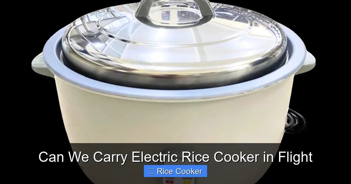 Can We Carry Electric Rice Cooker in Flight