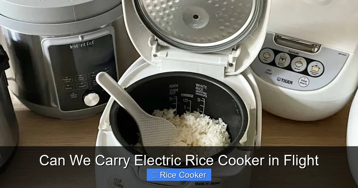 Can We Carry Electric Rice Cooker in Flight