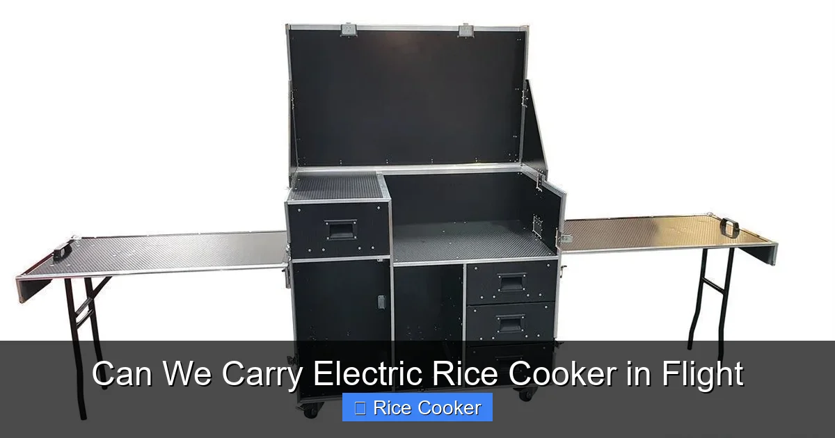 Can We Carry Electric Rice Cooker in Flight